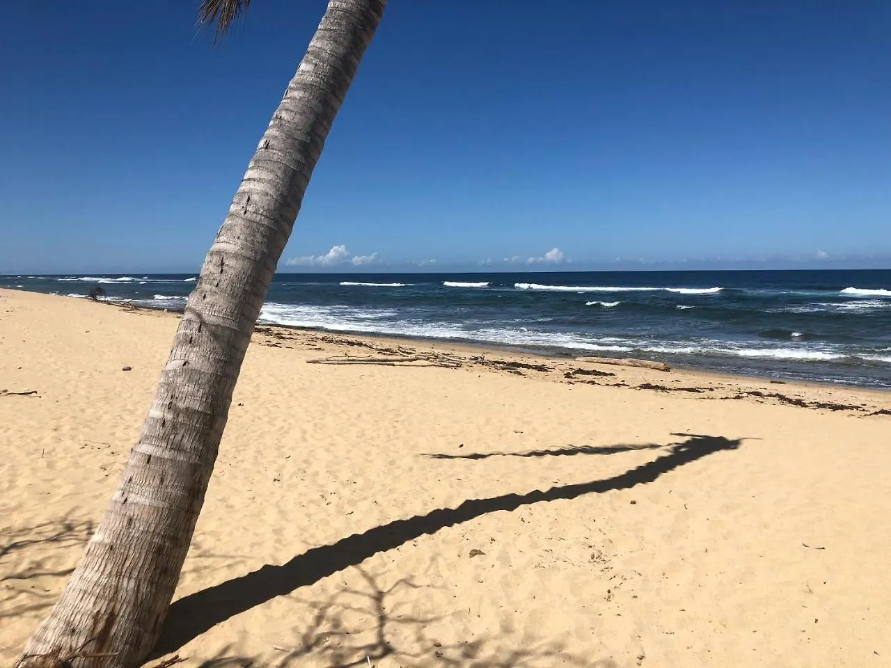 Jobos Beach Apartment Isabela Puerto Rico